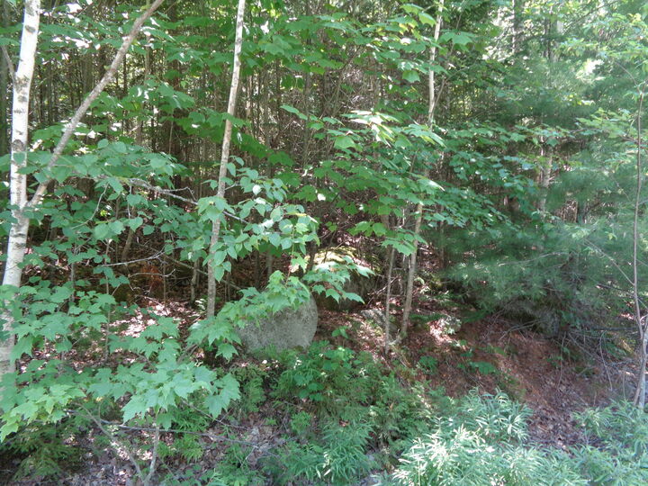 Property Photo: Lot 1 Bailey Mountain Road ME 04634