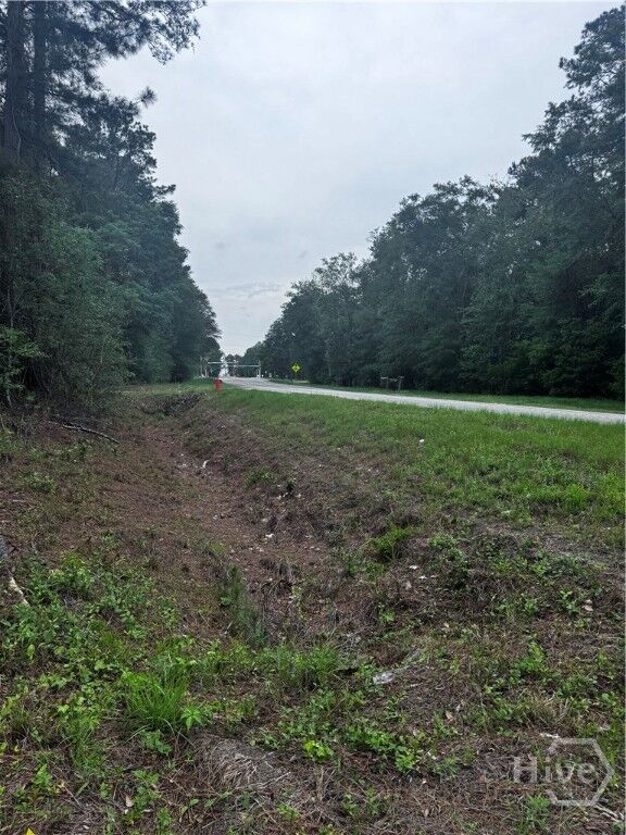 Property Photo: 0 Fort Argyle Road GA 31419