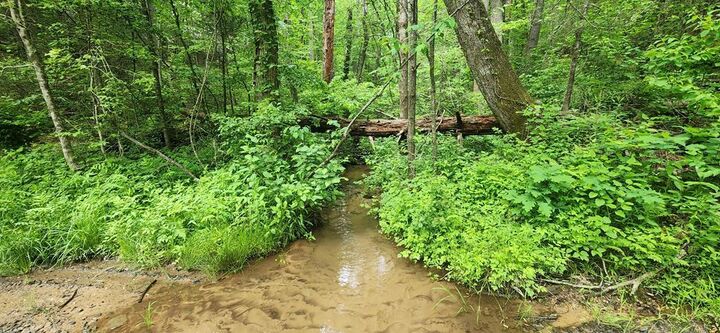 Property Photo:  13 Acres Goose Island Road  GA 30540 