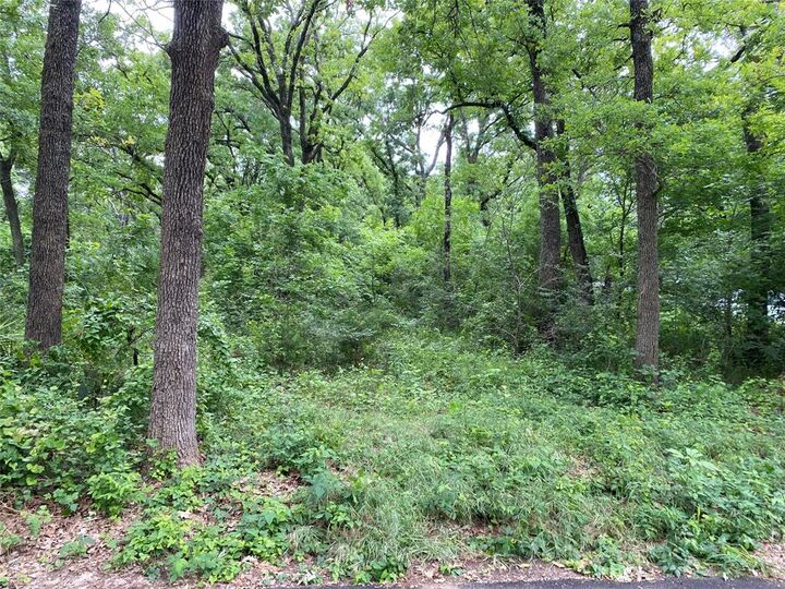 Property Photo:  Tbd NW County Road 3323  TX 76641 