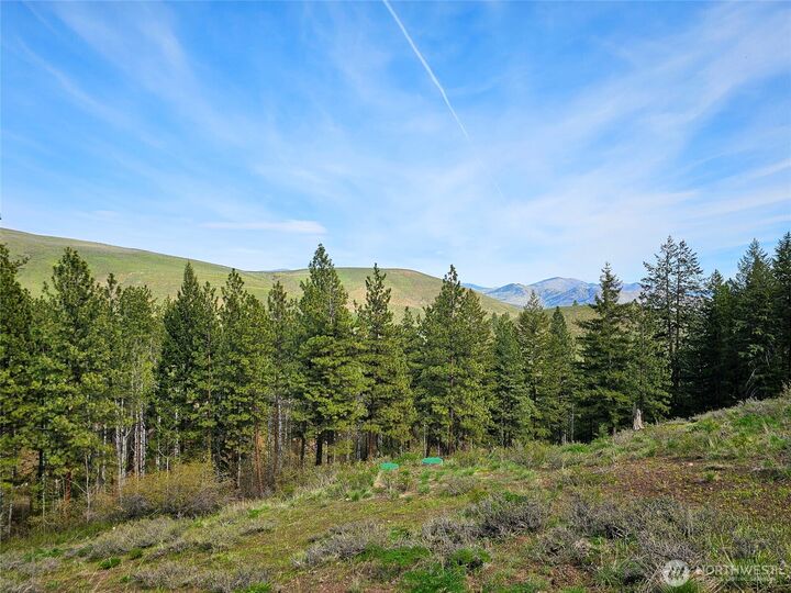 Property Photo: 48 Whitebark Lane WA 98862
