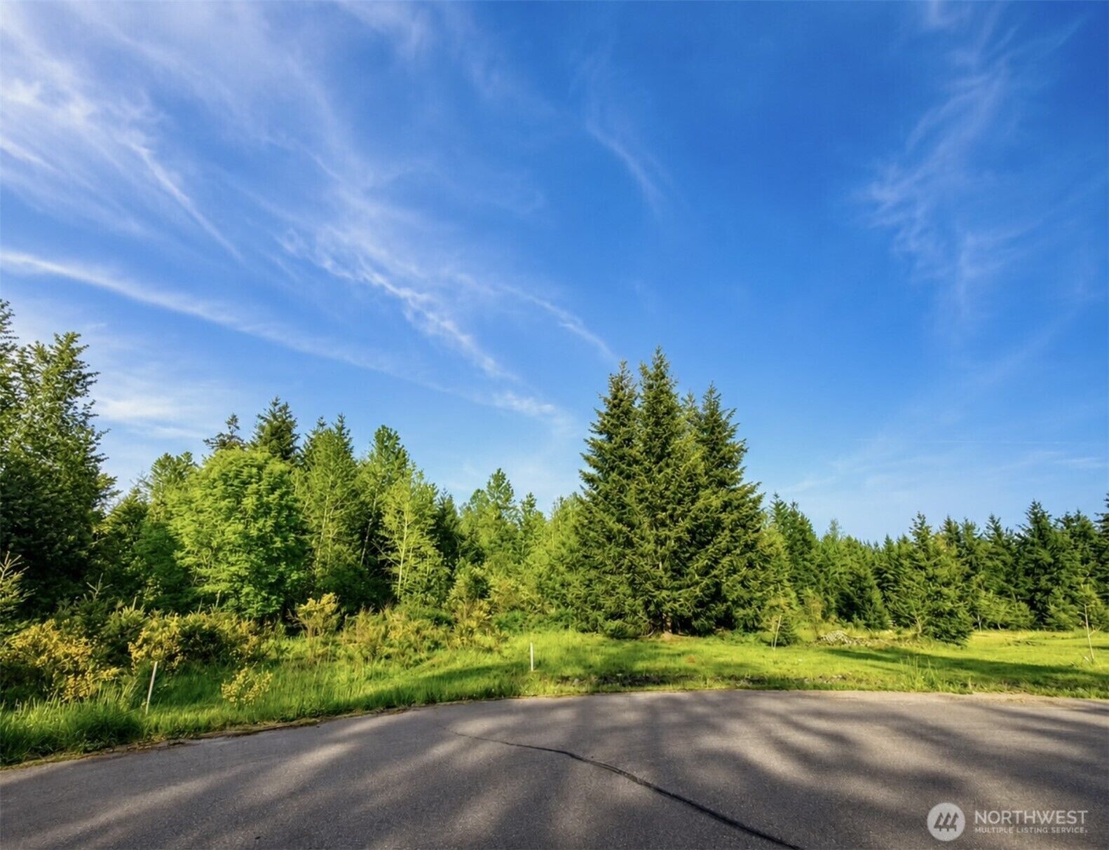 Property Photo:  15313  Sunnyside Lane SE  WA 98509 