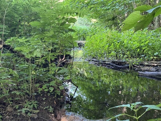 Property Photo:  00 W Beeman Road  MI 49630 