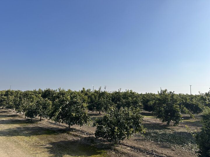 Property Photo:  Highway 65 Citrus Ranch Highway  CA 93218 