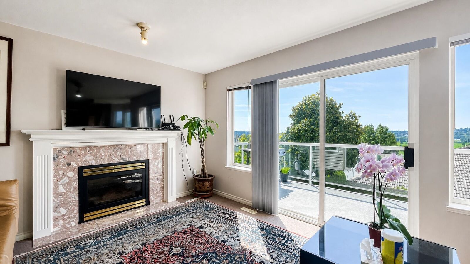 Photo de la propriété:  1161 Coutts Way  BC V3C 6B6 
