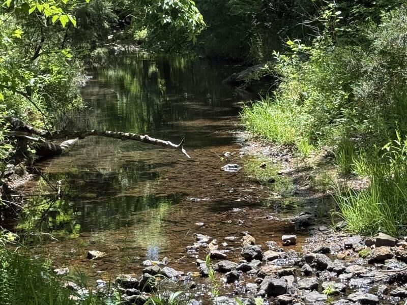 Property Photo:  00 Old Union Road  AR 72434 