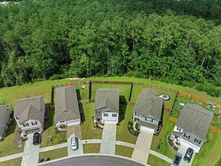 Property Photo:  655 Silver Spruce Street  SC 29486 