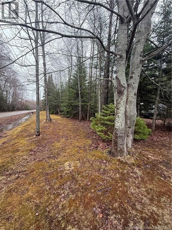Property Photo:  Lot 98-2 Dundas Road  NB E4R 4L5 