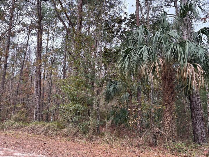 Property Photo:  Lot 12 Carolina Dove Road  FL 34614 