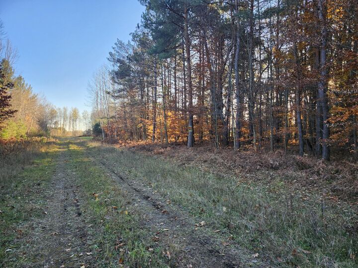 Property Photo: Vl 5 Acres 9 Mile Road MI 49645