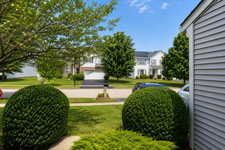 Property Photo:  2907 Sierra Avenue  IL 60586 