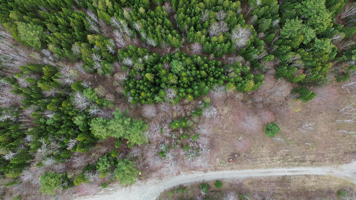 Property Photo:  Lot 19 Bailey Mountain Road  ME 04634 