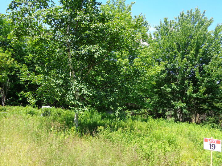 Property Photo: Lot 19 Bailey Mountain Road ME 04634