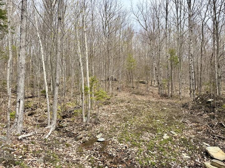 Property Photo:  Lot 2 Mooseley Ridge Road  ME 04966 