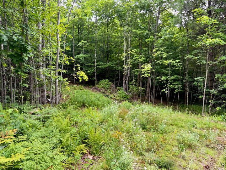 Property Photo: Lot 2 Mooseley Ridge Road ME 04966