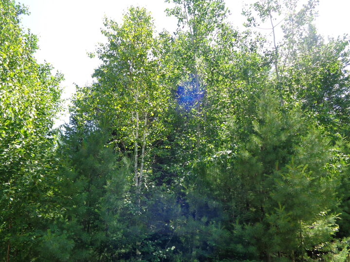 Property Photo: Lot 10 Bailey Mountain Road ME 04634