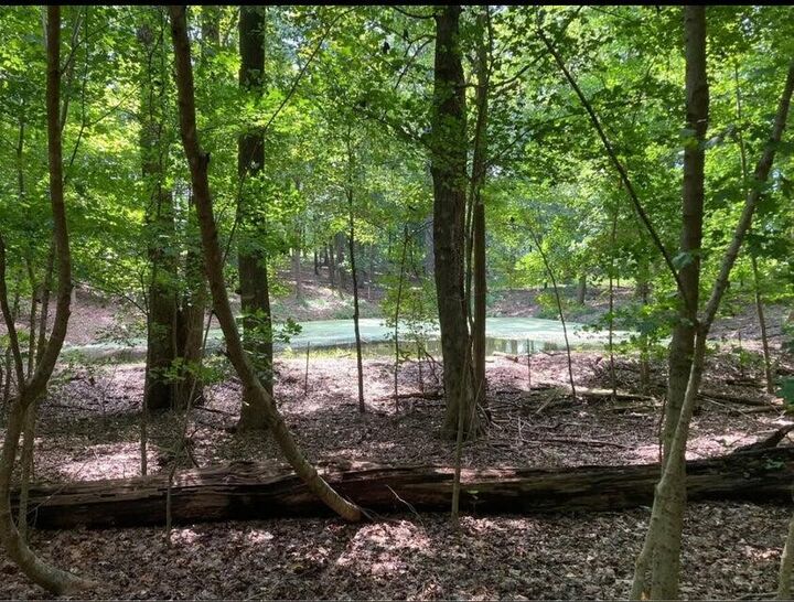 Property Photo:  359 County Road 4  TN 37309 
