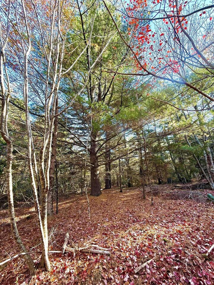 Property Photo:  Lot 2 Ridge Road  NS B0W 2R0 
