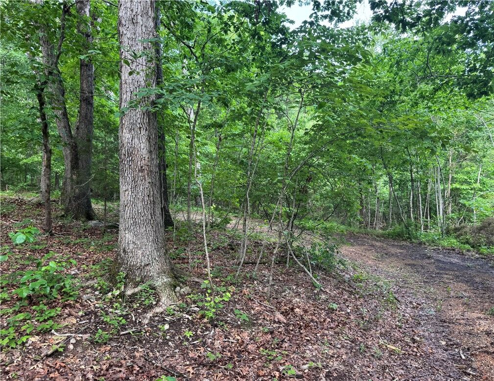 Property Photo:  Tbd Lots 2,3,4 Diana Lane  AR 72715 