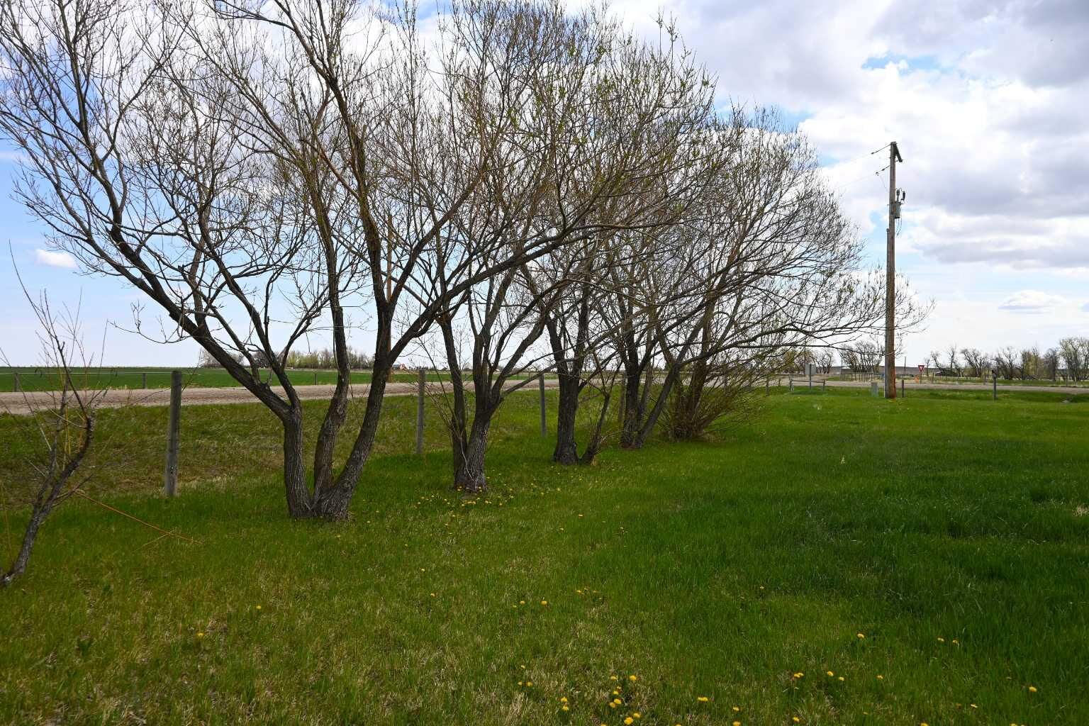 Property Photo:  131 North 2nd Street E  AB T0K 1E0 