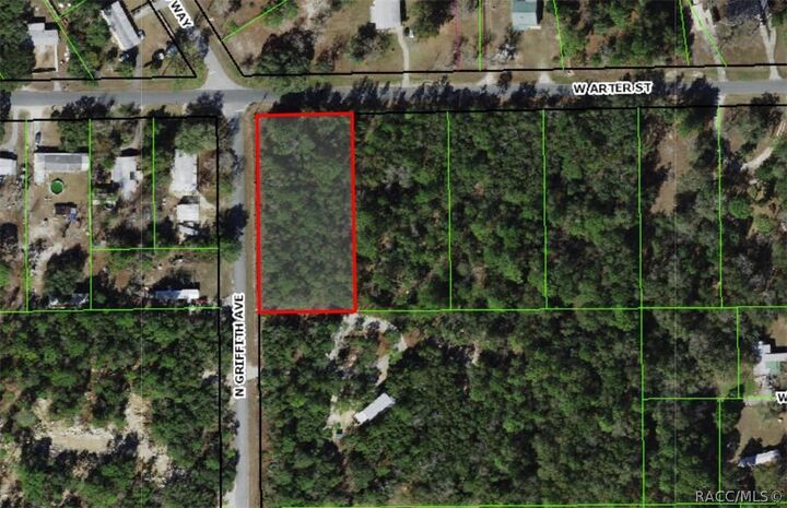 Property Photo:  963 N Griffith Avenue  FL 34429 