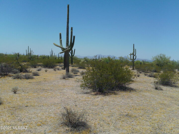 Property Photo:  E Hemlock Drive 15-Ac  AZ 85658 