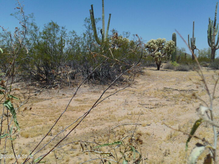 Property Photo:  E Hemlock Drive 15-Ac  AZ 85658 