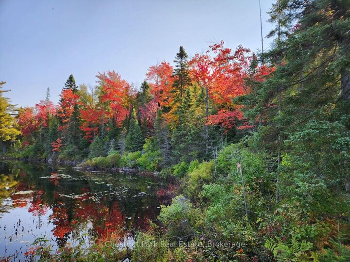 Property Photo: 0 King Lake N/A ON P0A 1X0