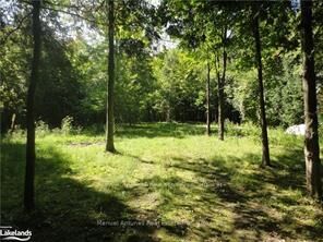 Lt 31 Mighton Court — photo 1