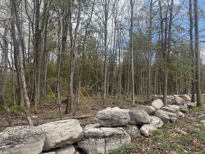 Property Photo:  378 Station Road  ON K0K 2M0 