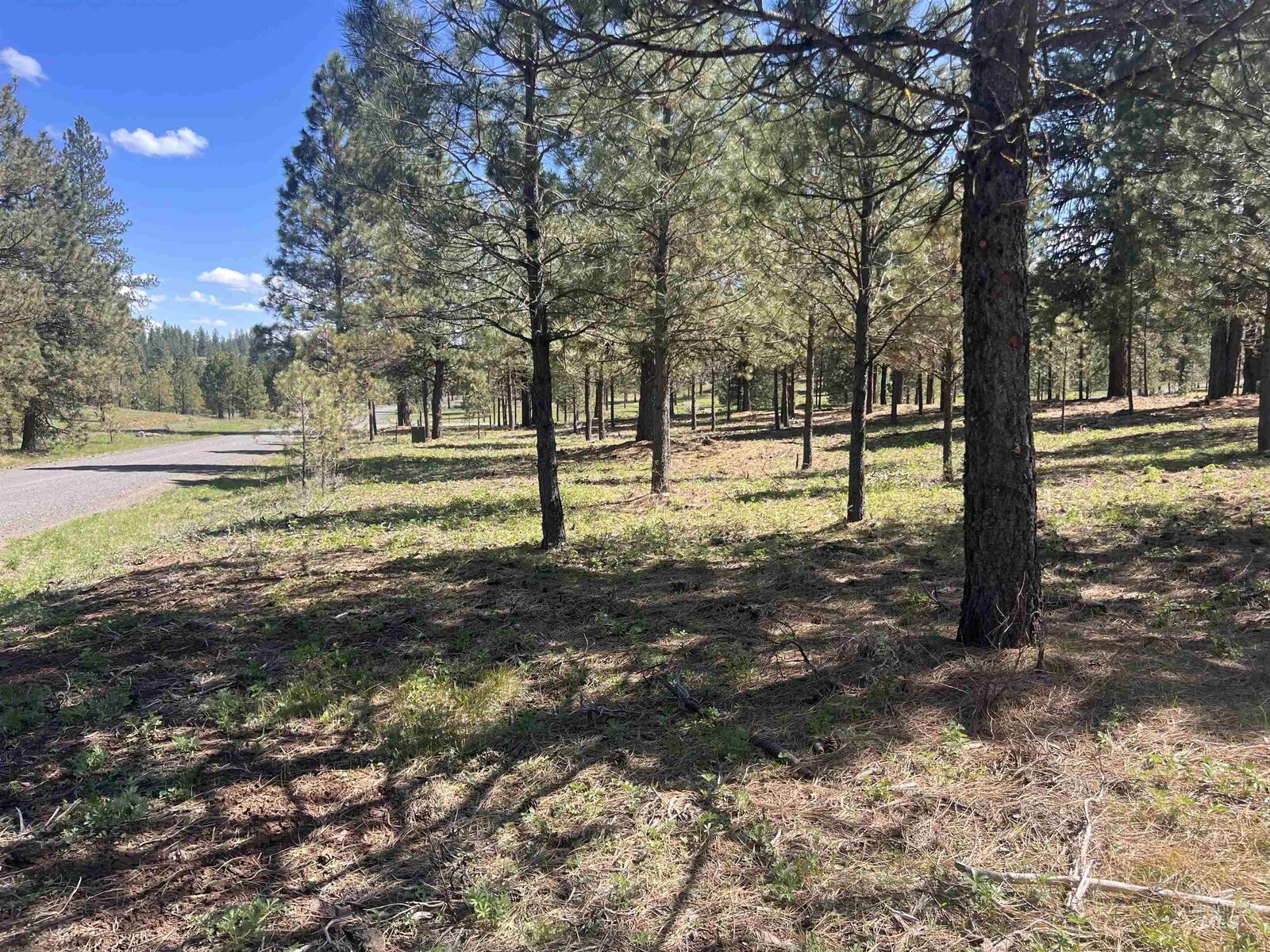 Property Photo: Lot 44 Old Hwy 95 ID 83654