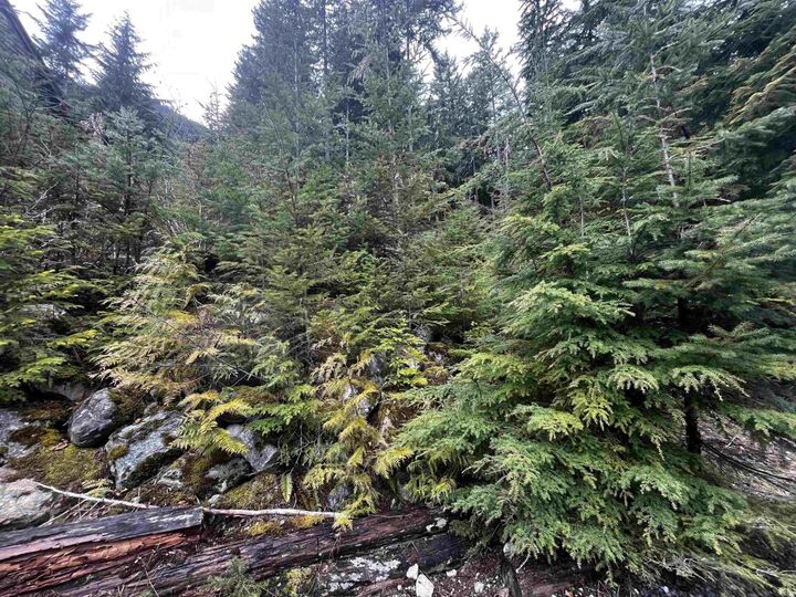 Property Photo:  14953 Parkwood Street  BC V0X 1L5 