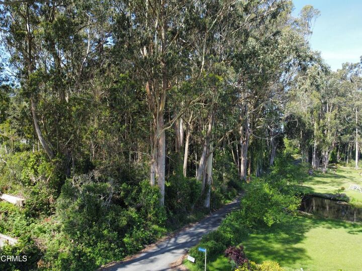 Property Photo:  32021 Boice Lane  CA 95437 