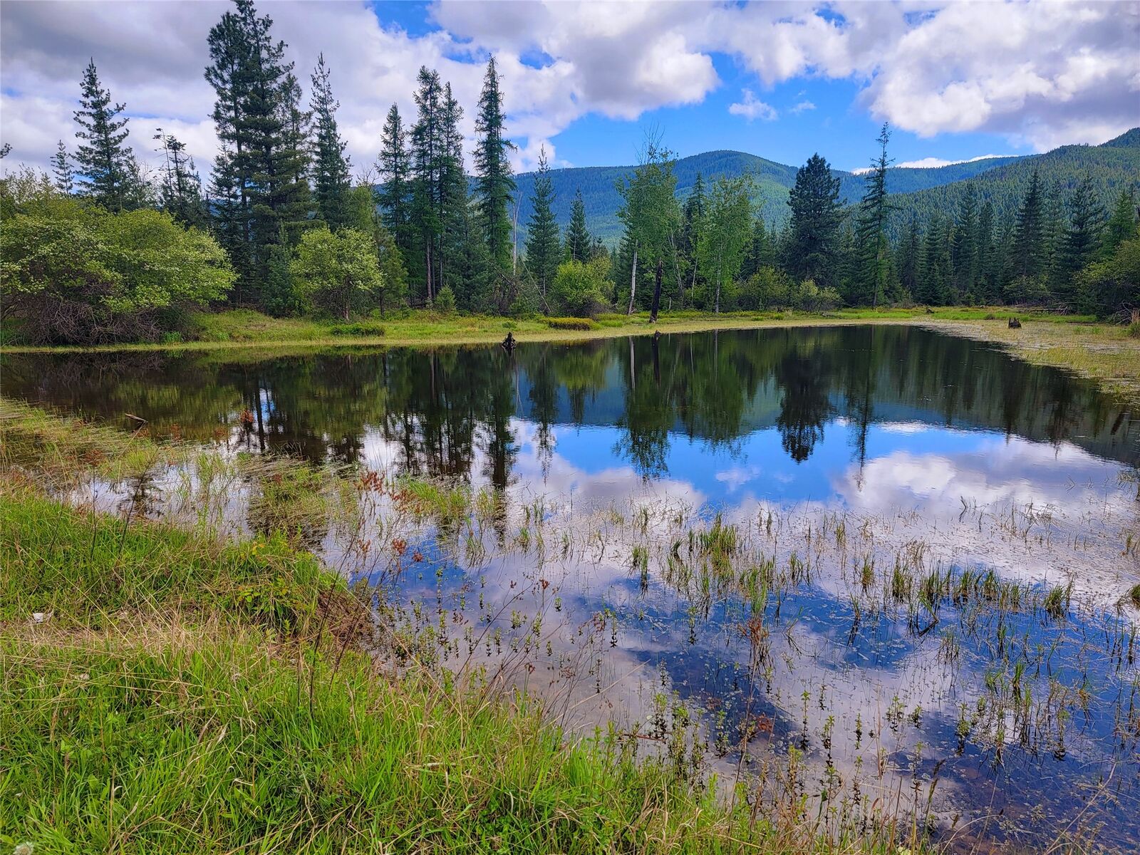 Property Photo:  440 Trout Creek Road  MT 59874 