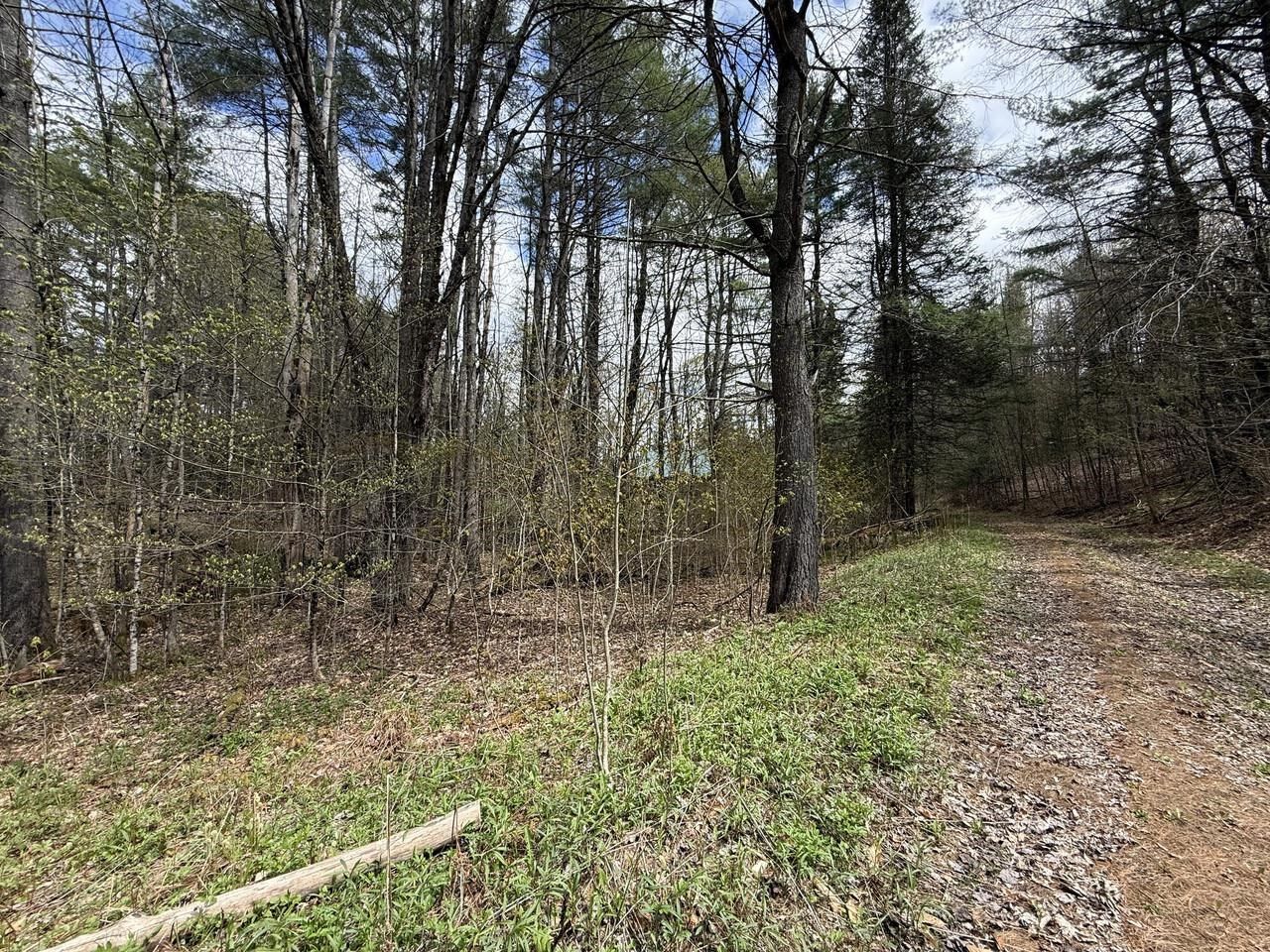Property Photo:  169 Jenkins Brook Road  VT 05038 