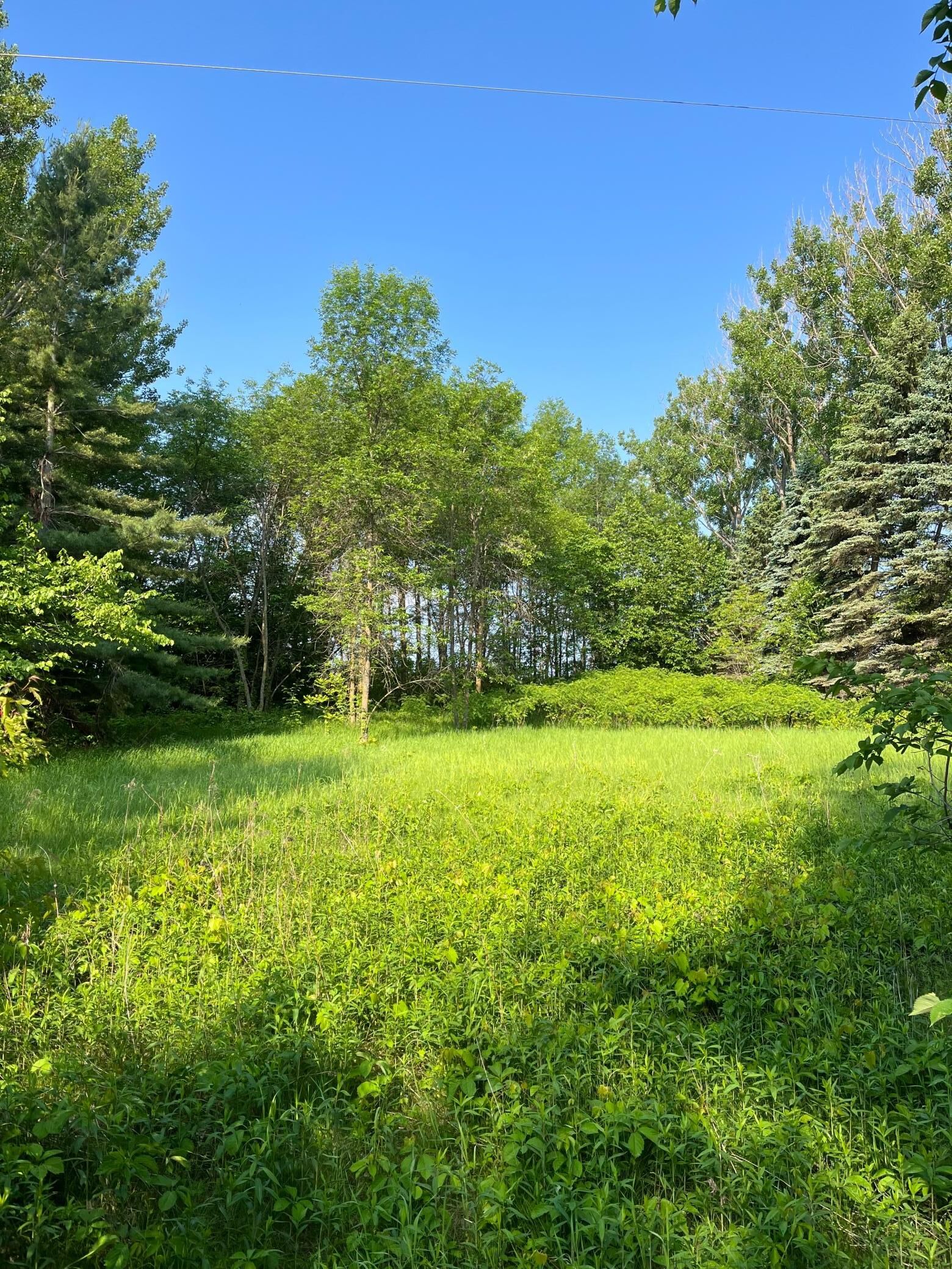 Property Photo:  Tbd Wild Rose Trail  MN 56544 
