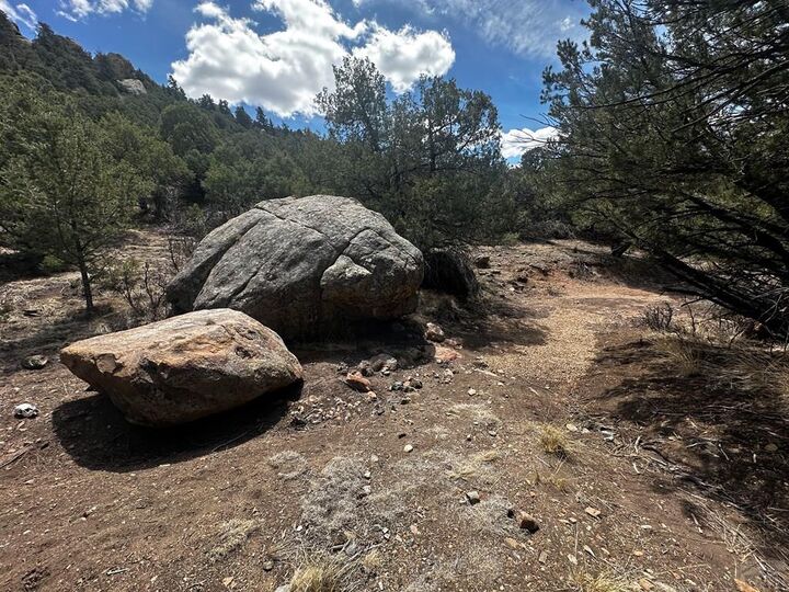 Property Photo:  938 Shoshone Dr  CO 81212 