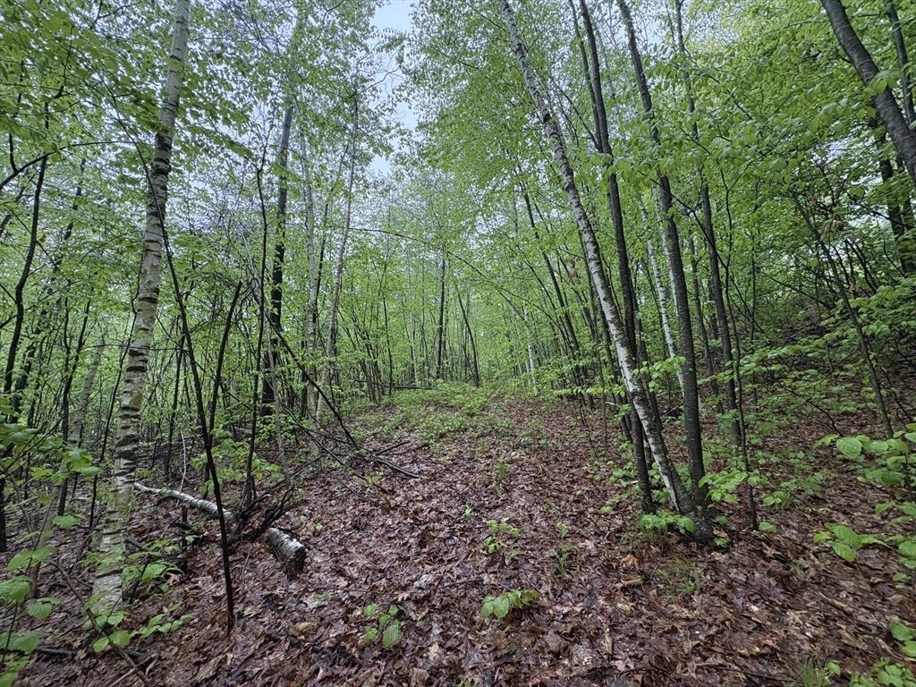 Property Photo:  Tbd Lower Road  MA 01342 
