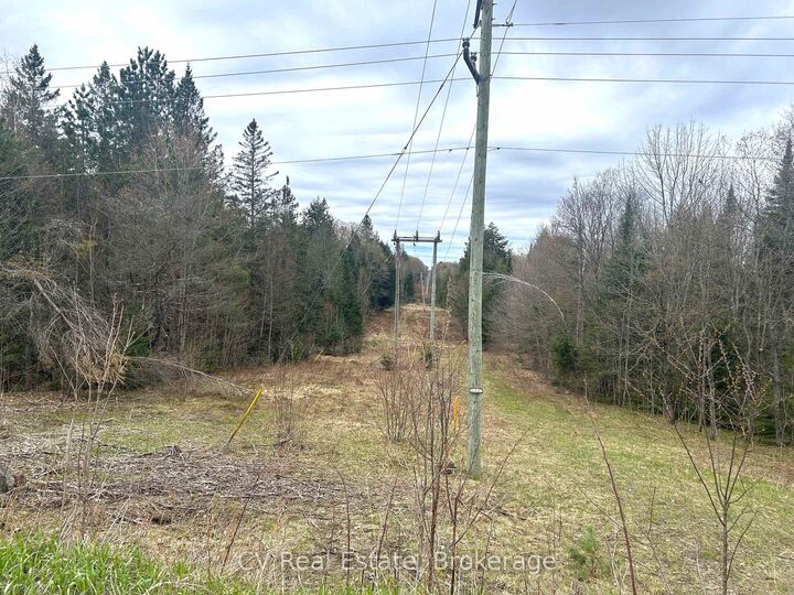 Property Photo:  Lot 21 &Amp Lot 22 Con 3 N/A  ON P0B 1M0 