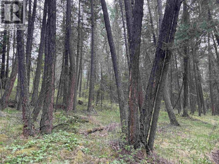 Property Photo:  550 Dog Creek Road  BC V2G 3P9 