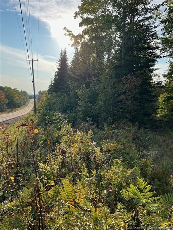 Property Photo:  Lot 24-2 Rte 3  NB E6K 1T3 