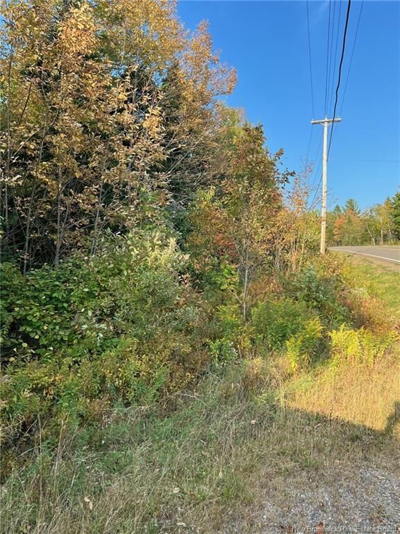 Property Photo:  Lot 24-1 Rte 3  NB E6K 1T3 