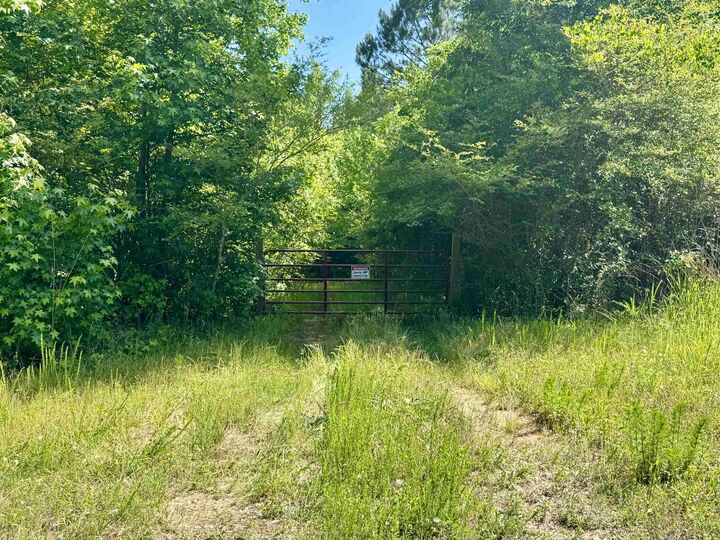 Property Photo:  38.59 Acres Leslie Mill Road  GA 30642 