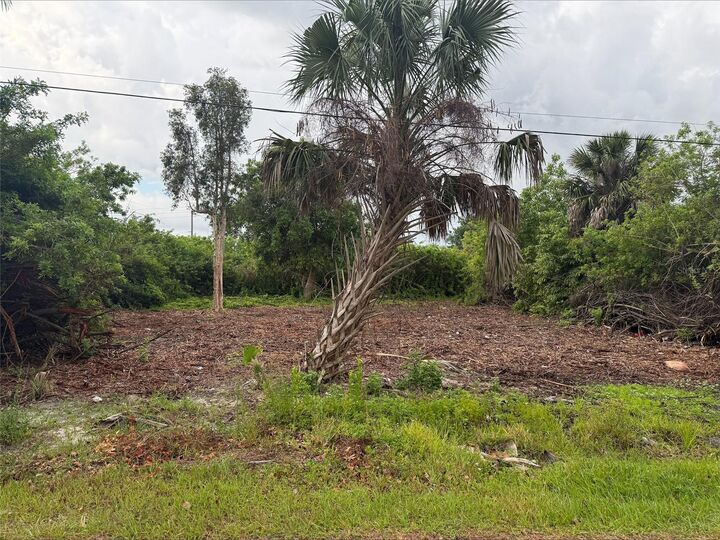 Property Photo:  861 Burland Street  FL 33950 