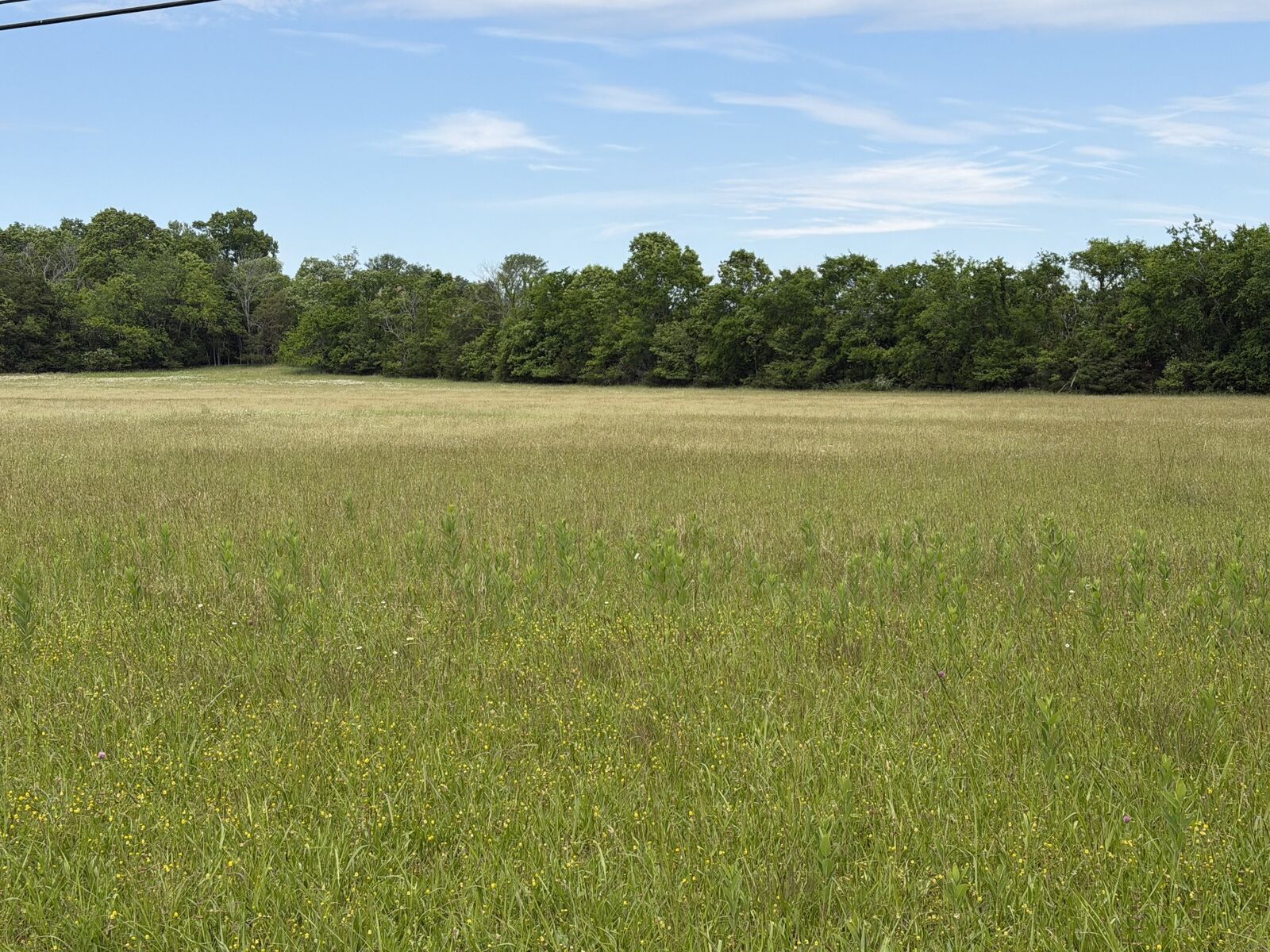 Property Photo: 0 Madison Creek Road TN 37072