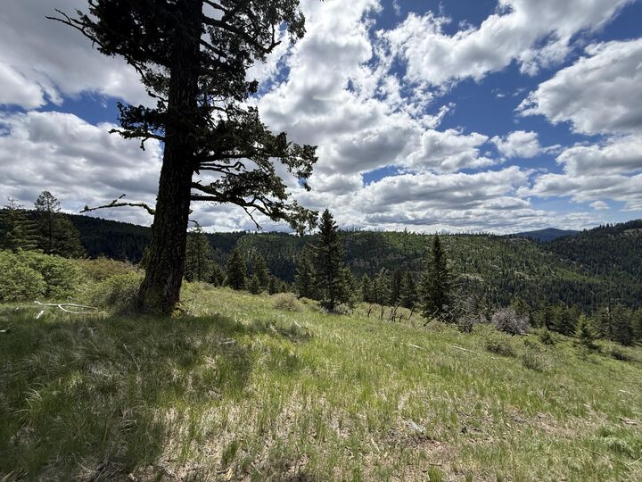 Property Photo: Tbd Toroda Creek Rd WA 98859