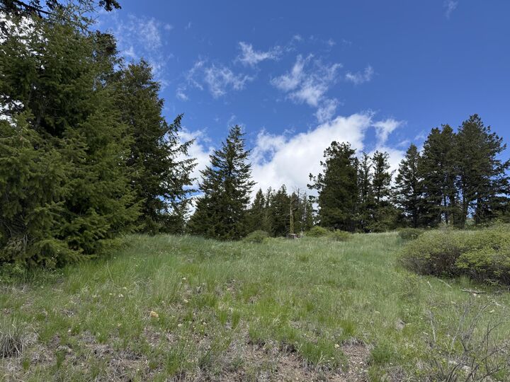 Property Photo:  Tbd Old Sheridan Rd  WA 98859 