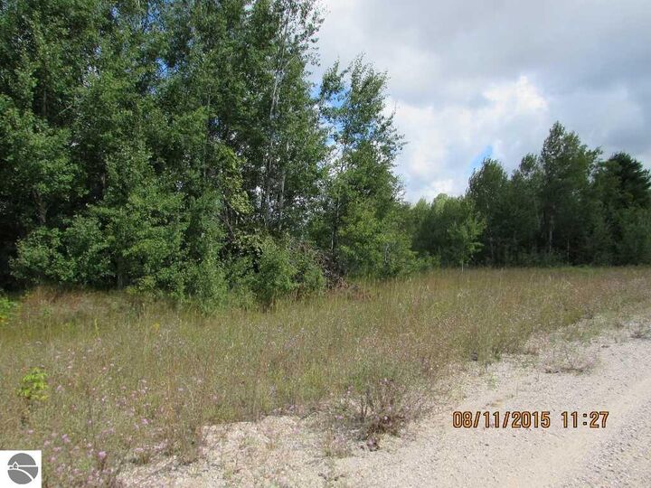 Property Photo:  802 Grouse Drive  MI 49646 