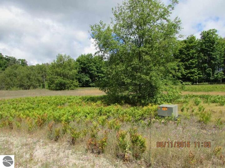 Property Photo:  515 Grouse Drive  MI 49646 