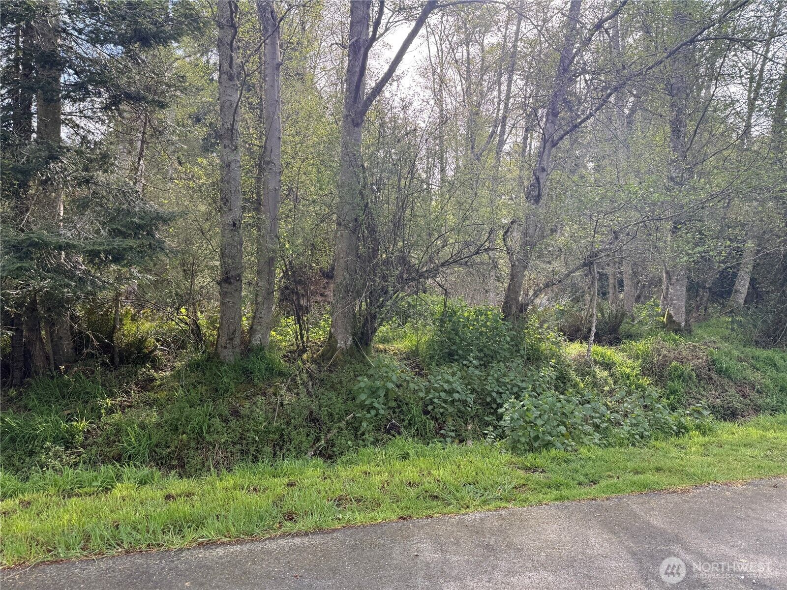 Property Photo:  0 Xxx  Seacrest Lane  WA 98239 